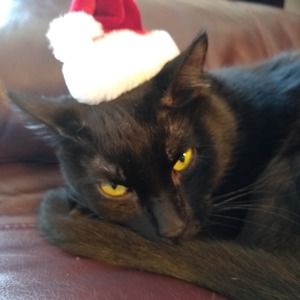 Meet your Posher, Maryann